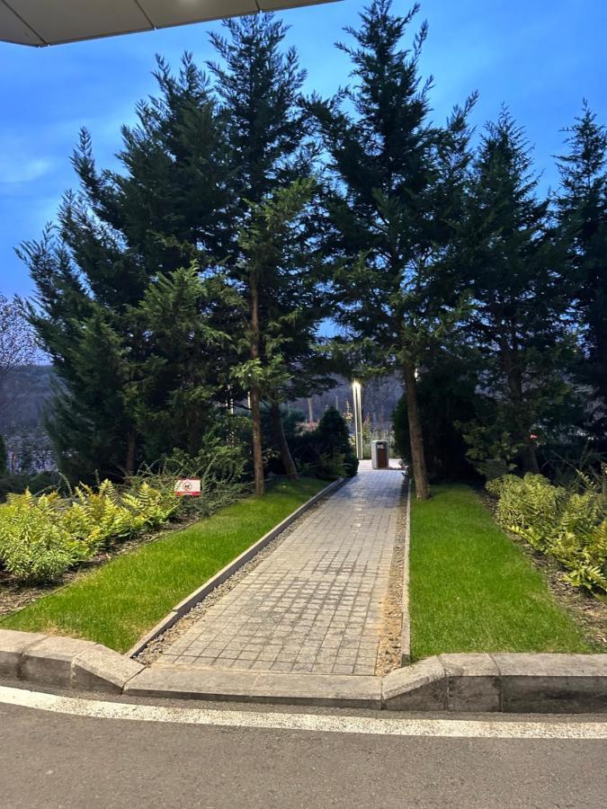 Cherry Apartment Букурещ Екстериор снимка